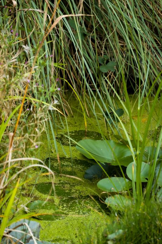 Customer photo 4 of 6. Click to open full size image.