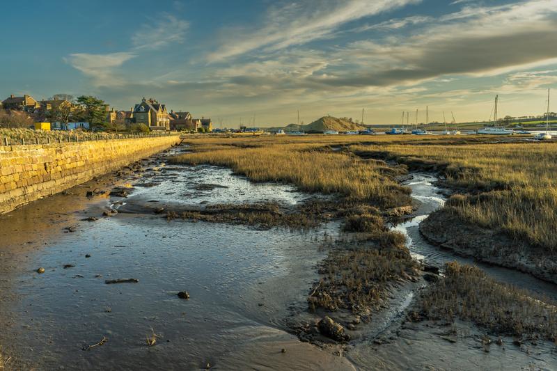 Customer photo 2 of 5. Click to open full size image.