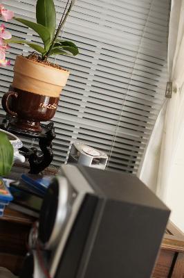 Customer photo 1 of 2. Click to open full size image.