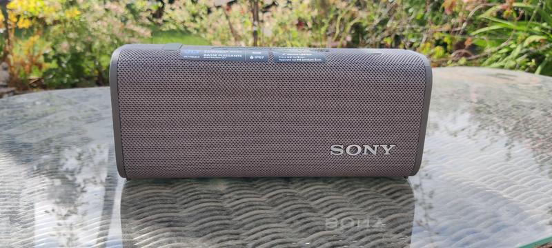 An evening in the garden