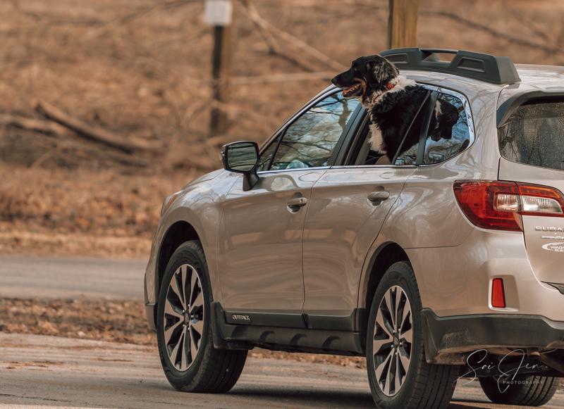 Customer photo 2 of 6. Click to open full size image.