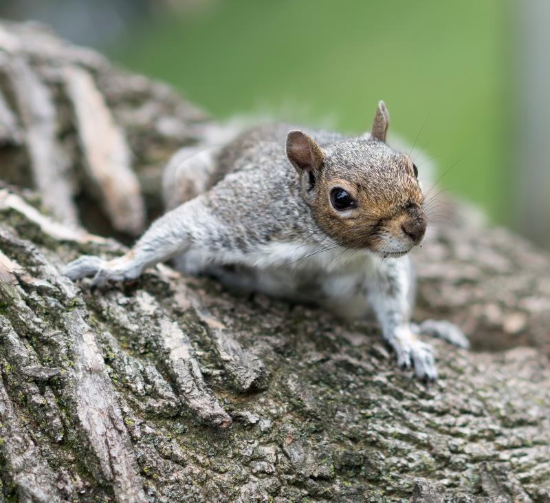 Customer photo 2 of 2. Click to open full size image.