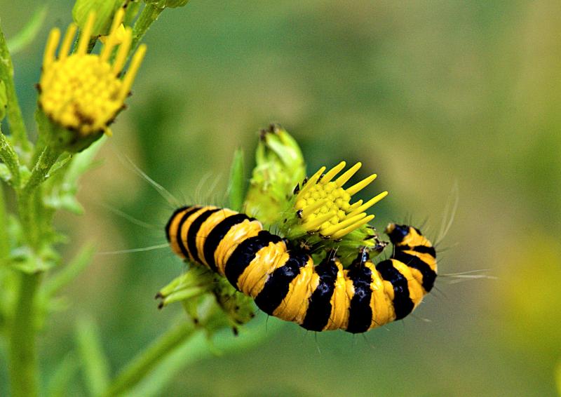 Customer photo 4 of 6. Click to open full size image.