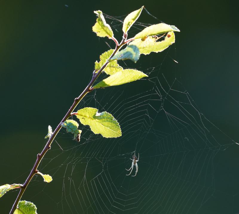 Customer photo 6 of 6. Click to open full size image.