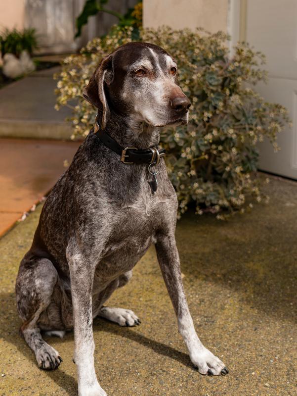 Love this new APSC lens 16-55 f/2.8G