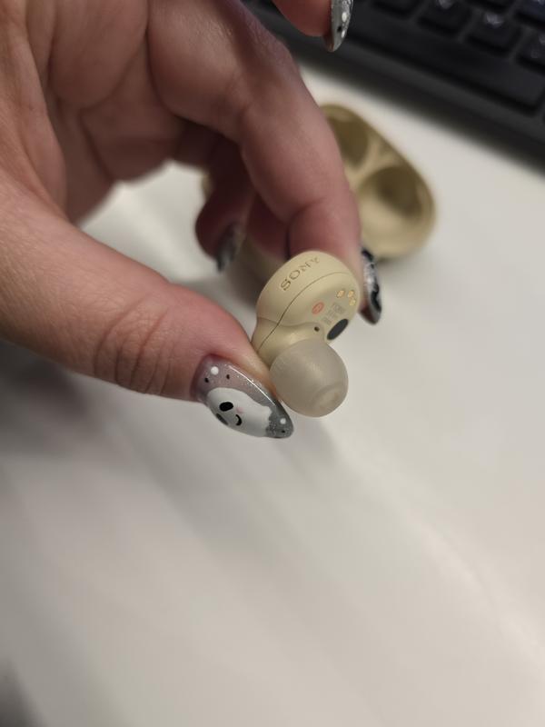 Model + undamaged R bud