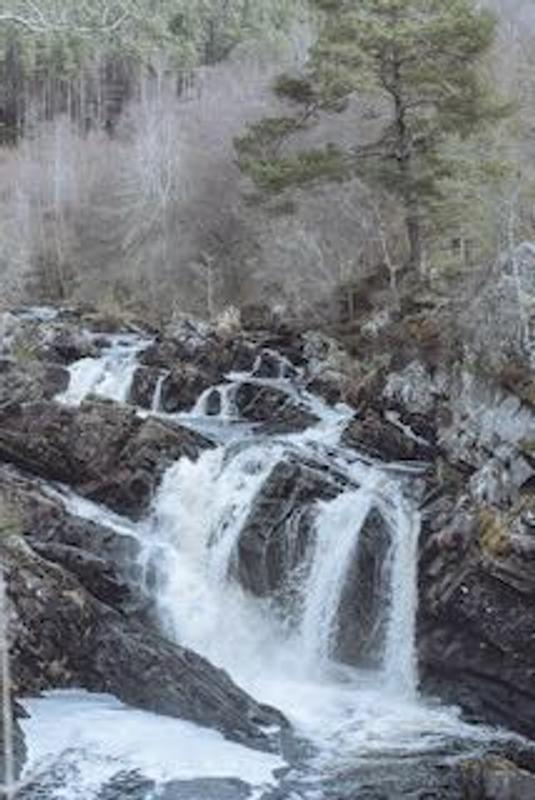 Rogue falls