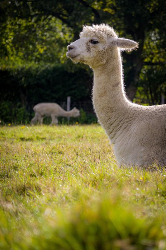 Customer photo 1 of 6. Click to open full size image.