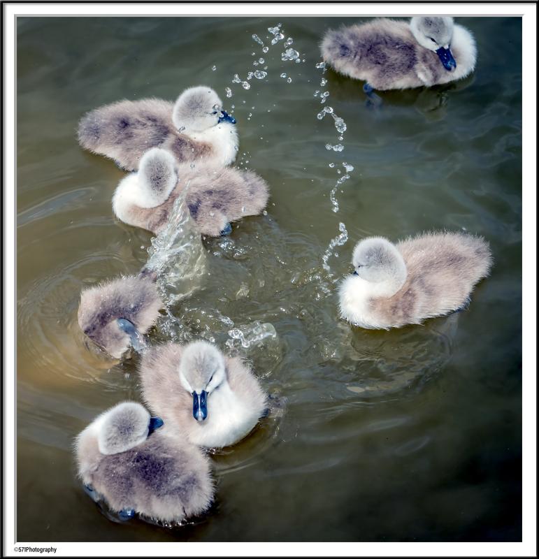 Customer photo 4 of 6. Click to open full size image.