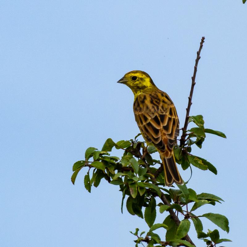 Customer photo 4 of 6. Click to open full size image.