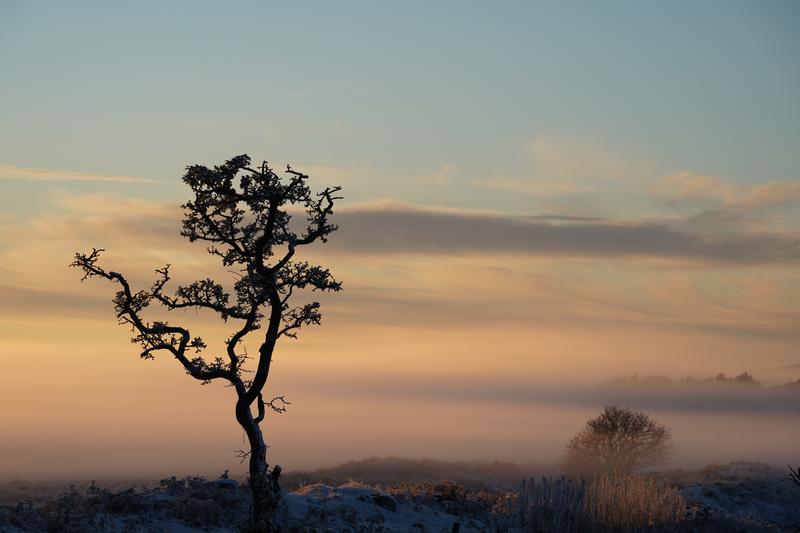 Customer photo 2 of 6. Click to open full size image.