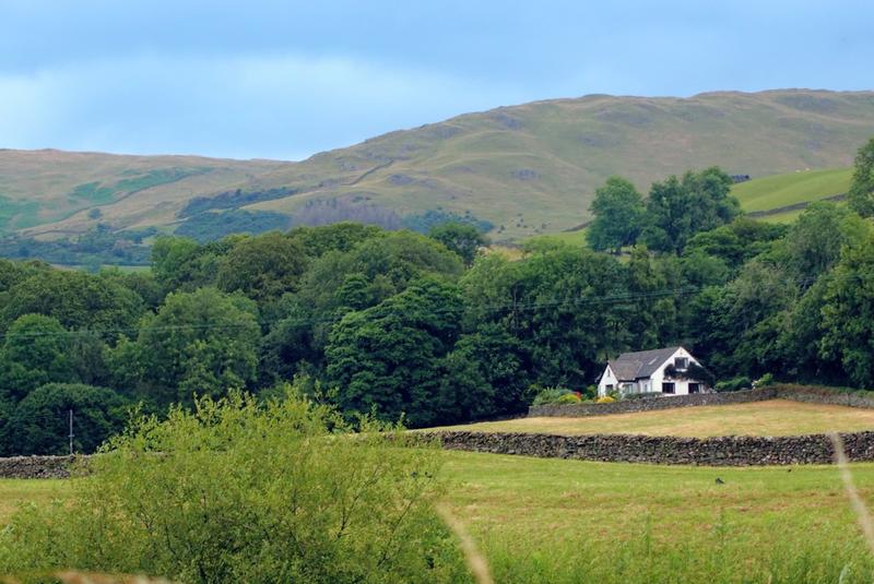 Customer photo 2 of 5. Click to open full size image.