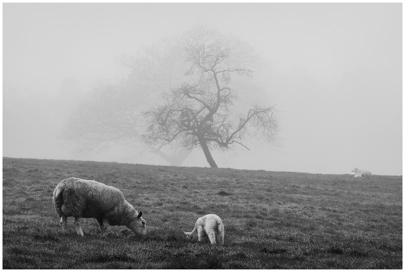 Customer photo 6 of 6. Click to open full size image.