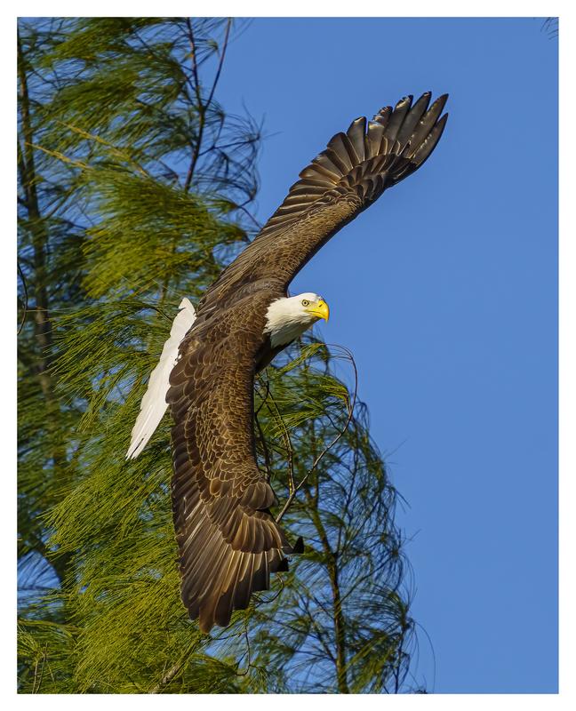 Customer photo 2 of 6. Click to open full size image.