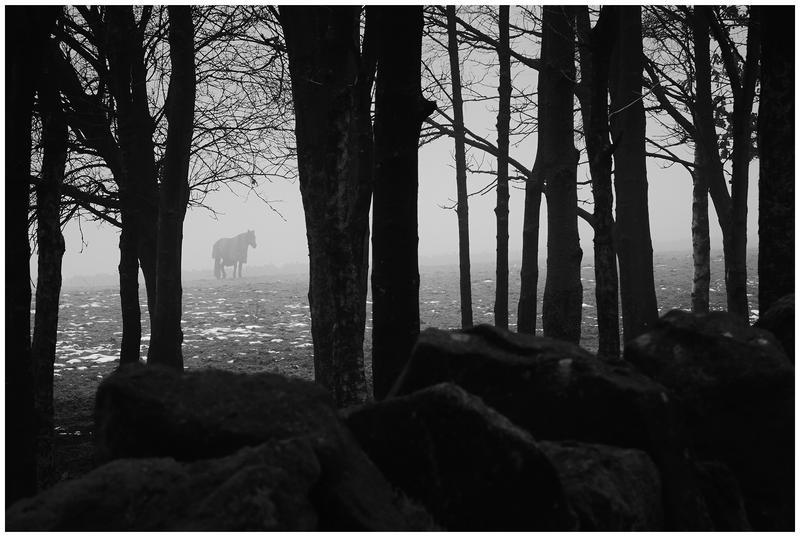 Customer photo 1 of 6. Click to open full size image.