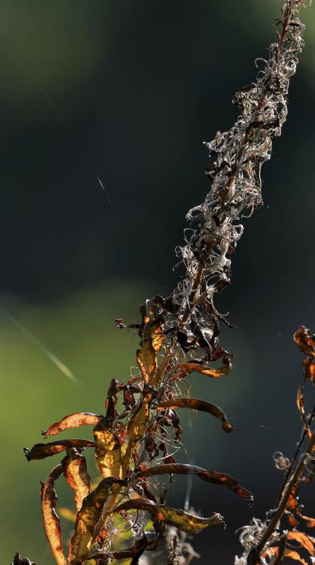 Customer photo 1 of 6. Click to open full size image.