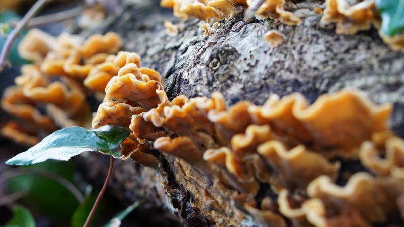 Customer photo 4 of 4. Click to open full size image.