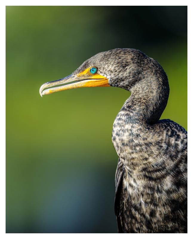 Customer photo 3 of 6. Click to open full size image.