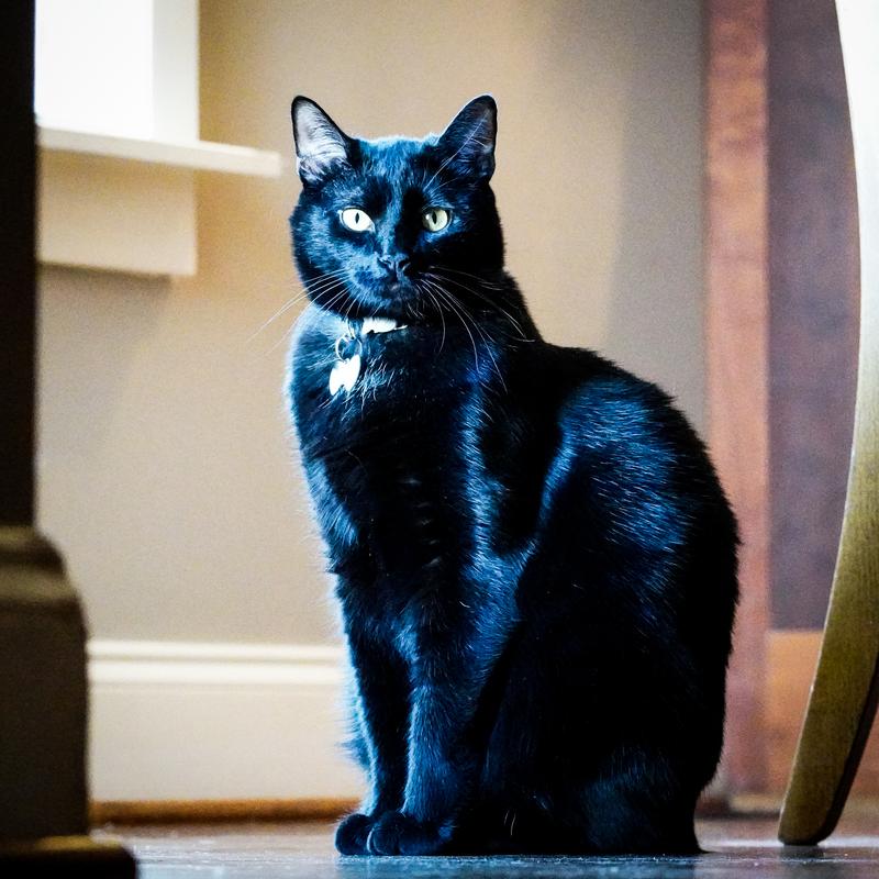 Customer photo 2 of 6. Click to open full size image.