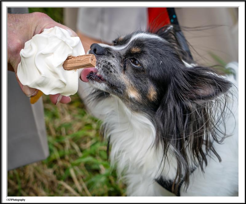 Customer photo 1 of 6. Click to open full size image.