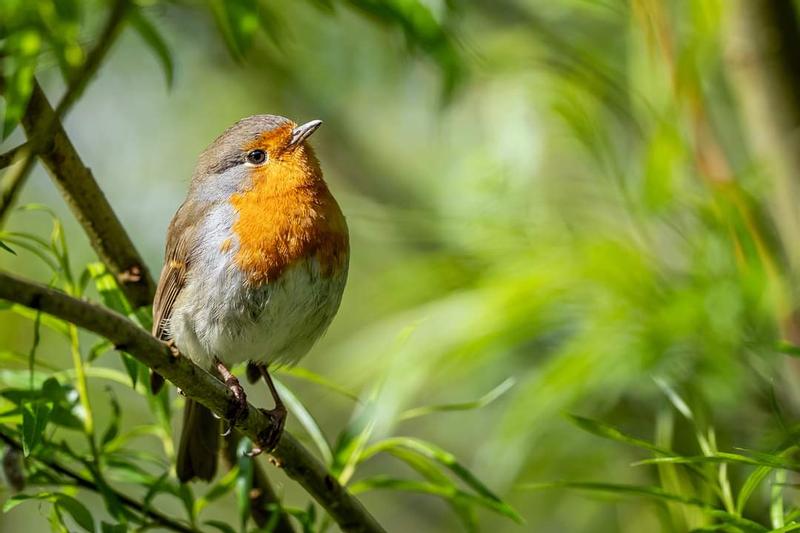 Customer photo 1 of 6. Click to open full size image.