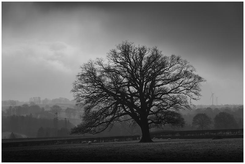 Customer photo 4 of 6. Click to open full size image.