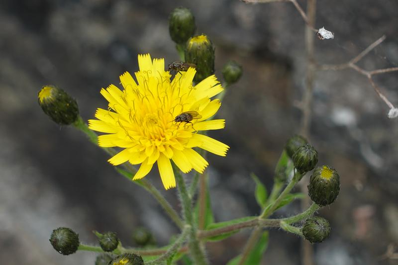 Customer photo 1 of 5. Click to open full size image.