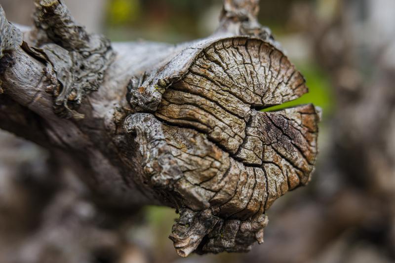 Customer photo 6 of 6. Click to open full size image.