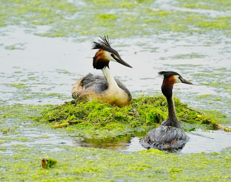 Customer photo 6 of 6. Click to open full size image.