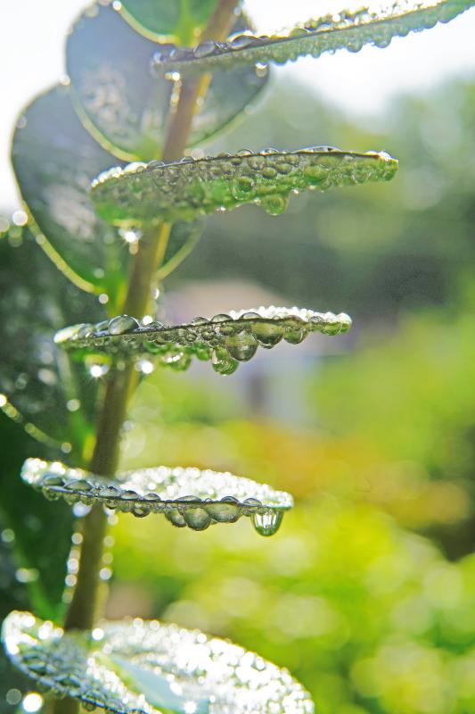 Customer photo 2 of 5. Click to open full size image.