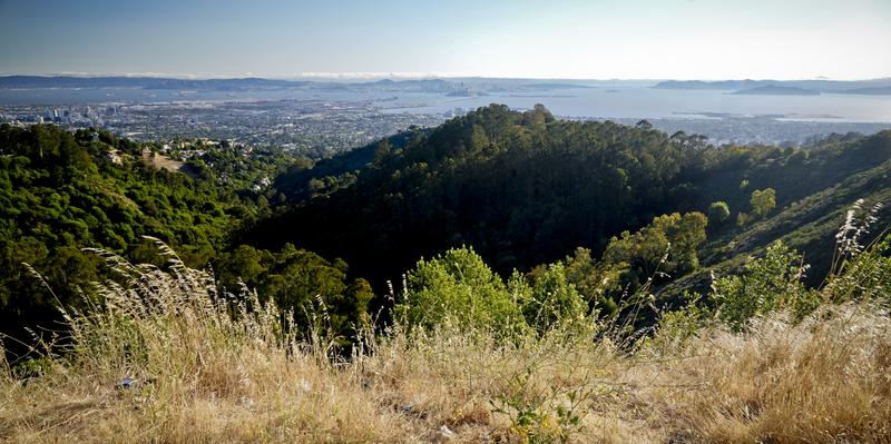 San Francisco from Grizzly Peak Vista Point