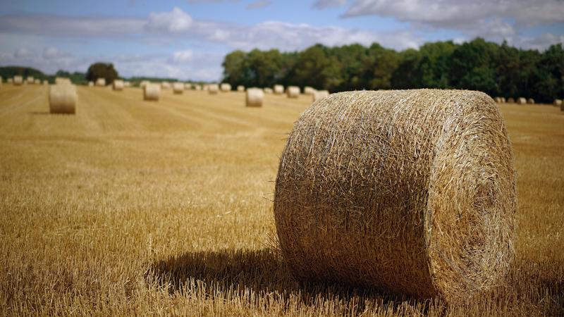 Customer photo 1 of 3. Click to open full size image.