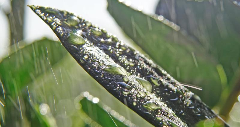 Customer photo 5 of 5. Click to open full size image.