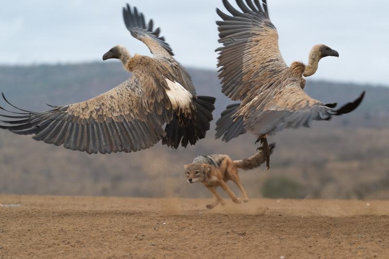 Customer photo 4 of 5. Click to open full size image.