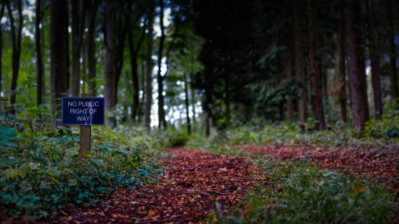 Customer photo 3 of 3. Click to open full size image.