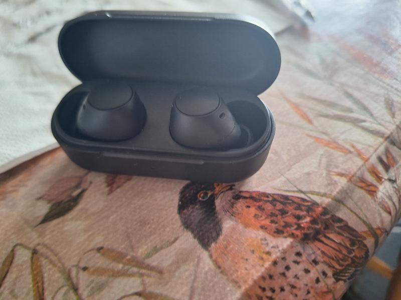 Simply New