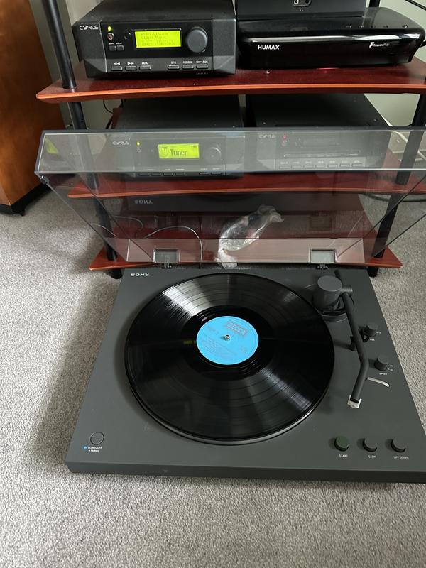 Photo from Serpent99