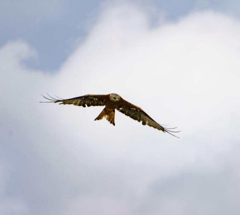 Customer photo 2 of 6. Click to open full size image.