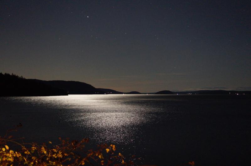 Lowlight long exposure - Orcas Island