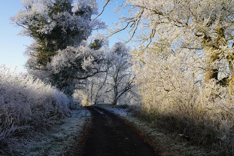 Customer photo 4 of 6. Click to open full size image.