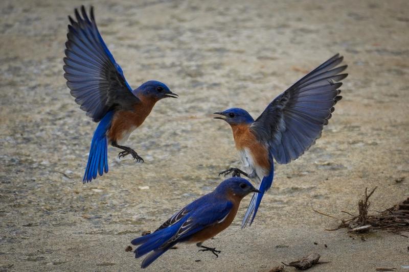 Customer photo 4 of 6. Click to open full size image.