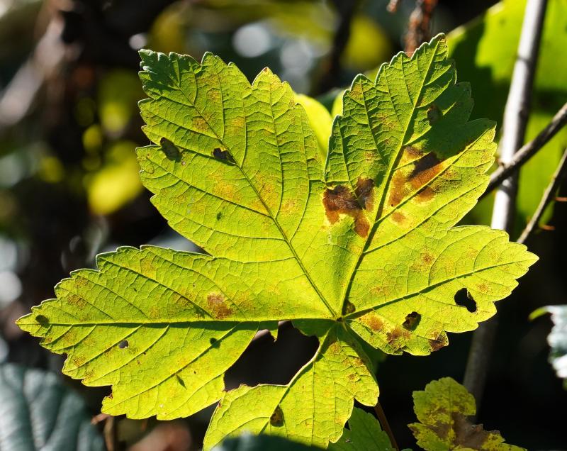 Customer photo 4 of 6. Click to open full size image.