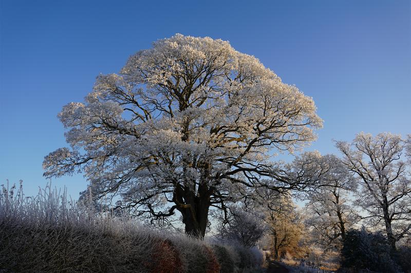 Customer photo 6 of 6. Click to open full size image.