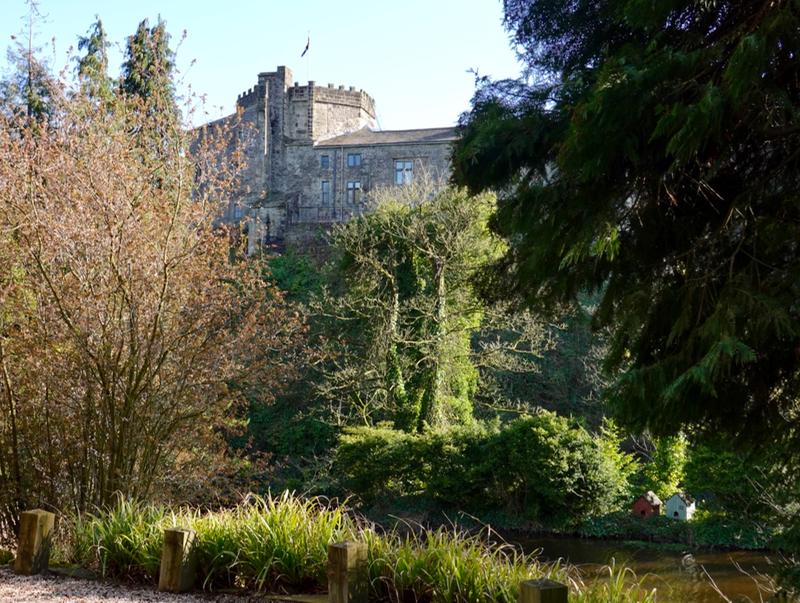 Customer photo 3 of 5. Click to open full size image.