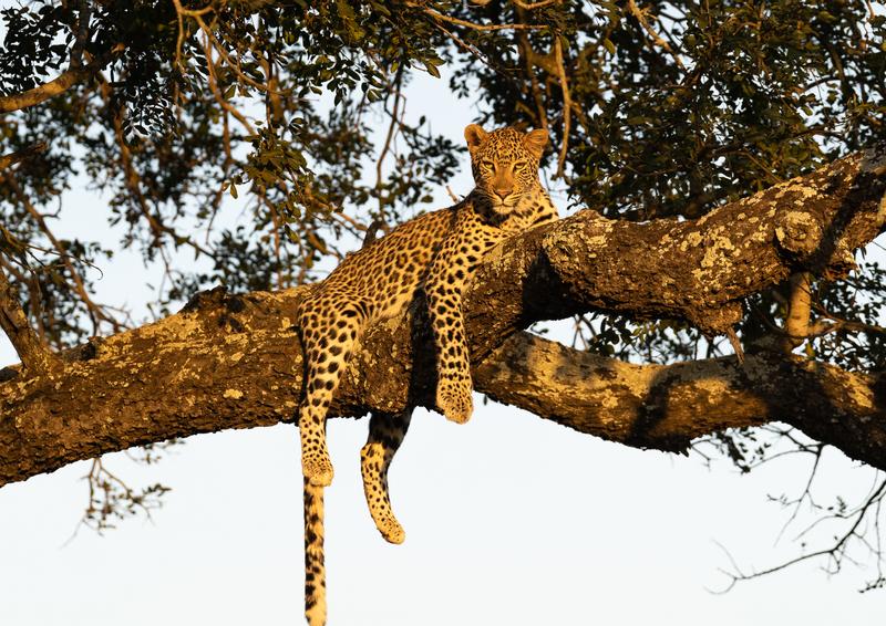 Customer photo 2 of 5. Click to open full size image.