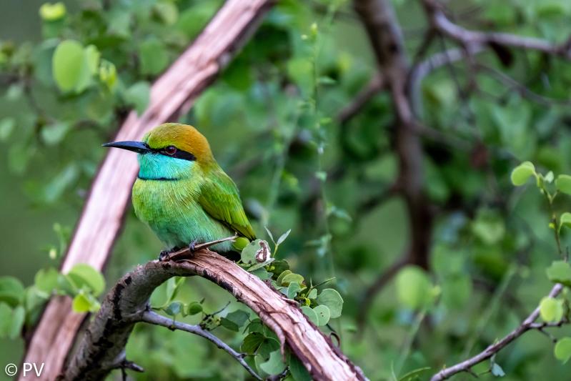 Customer photo 4 of 6. Click to open full size image.