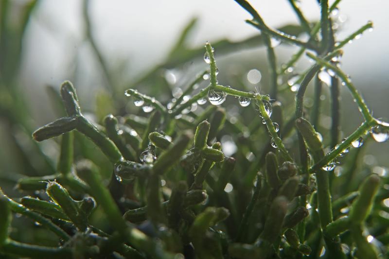 Customer photo 1 of 5. Click to open full size image.