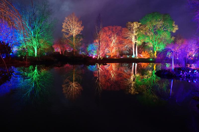 RHS Wisley Glow 2024