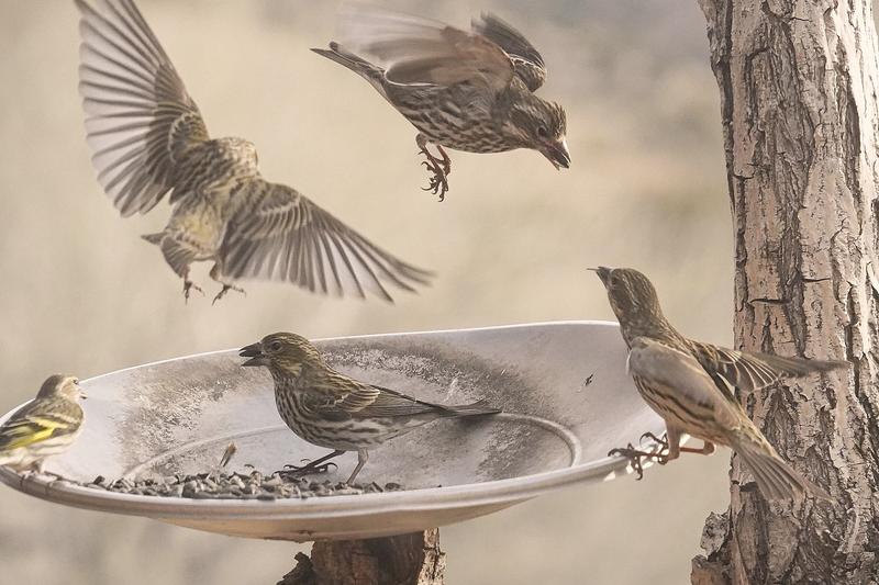 Photo from Ad Guy