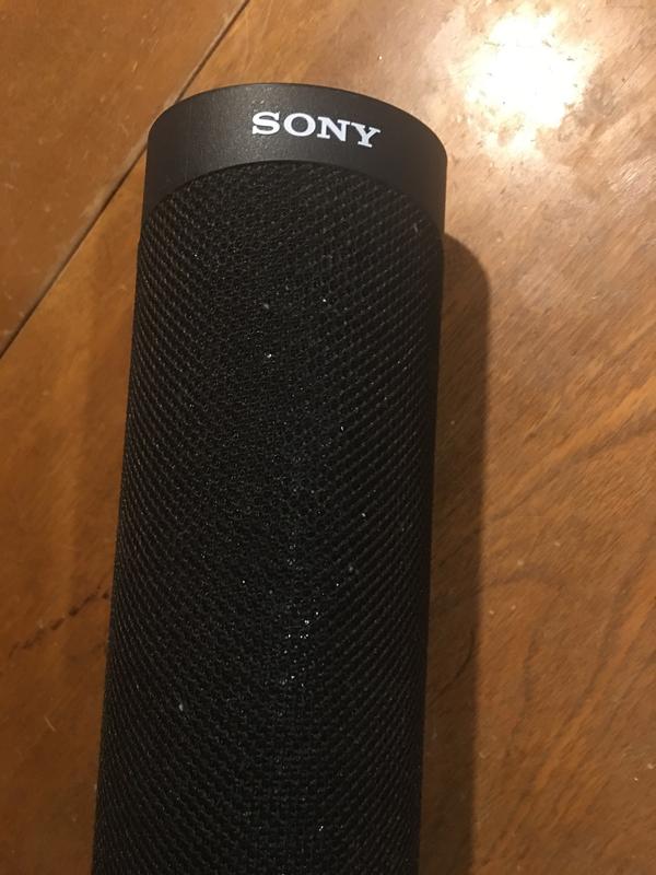 Sony speaker